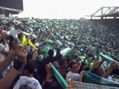 YA LES VERTS