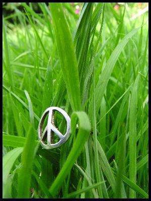 PEACE CASA