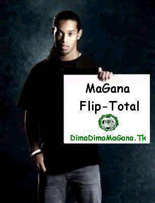 magana flip total