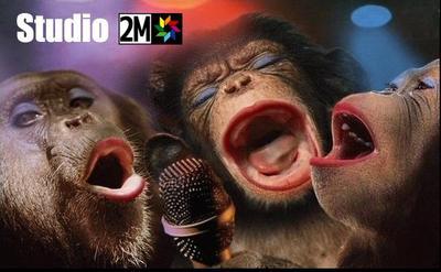 2 M